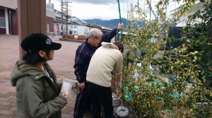 【新居浜分校】新居浜駅前イルミネーションボランティア！