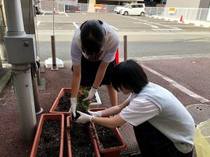 《松山本校》花いっぱい活動🌼🌺